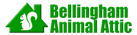 Bellingham Animal Attic